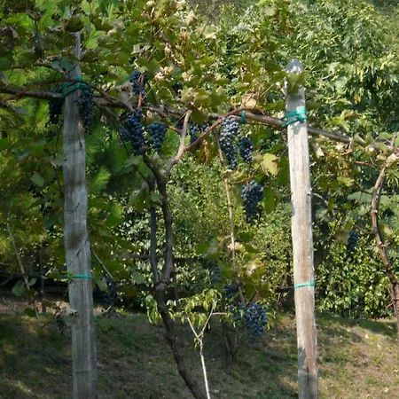 Cascina Cologna Galbiate