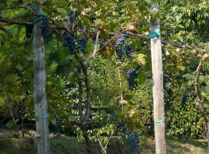 Cascina Cologna Galbiate