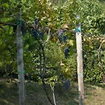 Cascina Cologna Galbiate